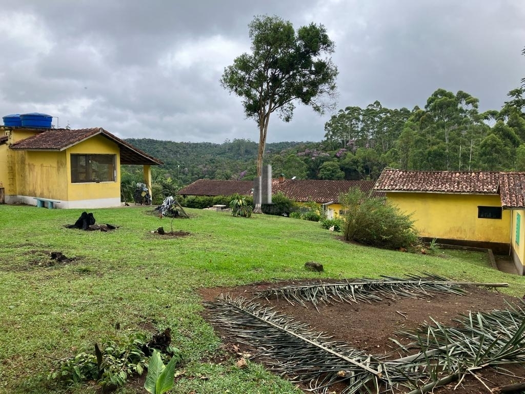 Fazenda à venda com 4 quartos, 55000m² - Foto 2