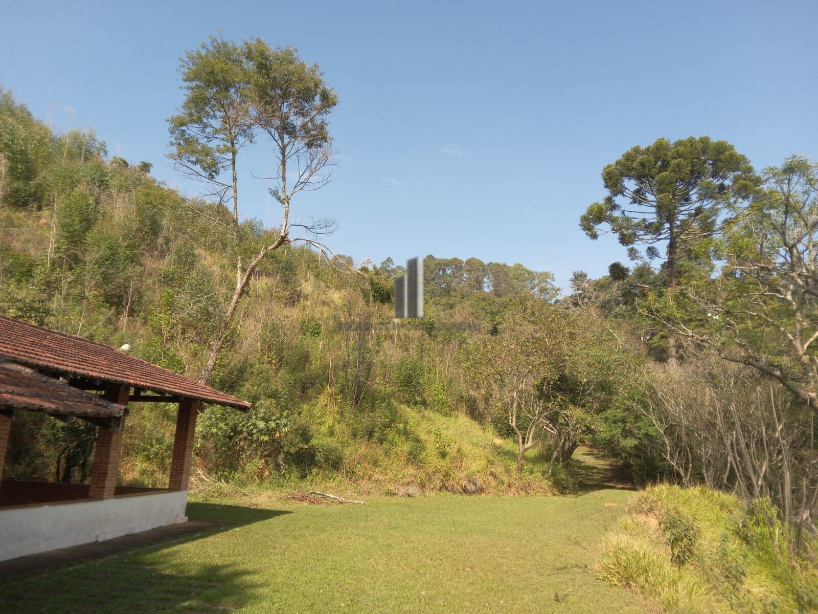 Sítio, 3 quartos, 10 hectares - Foto 38