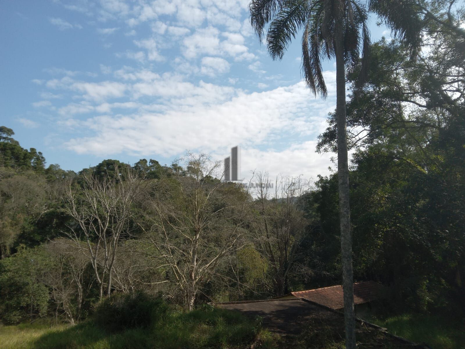 Sítio, 3 quartos, 10 hectares - Foto 36