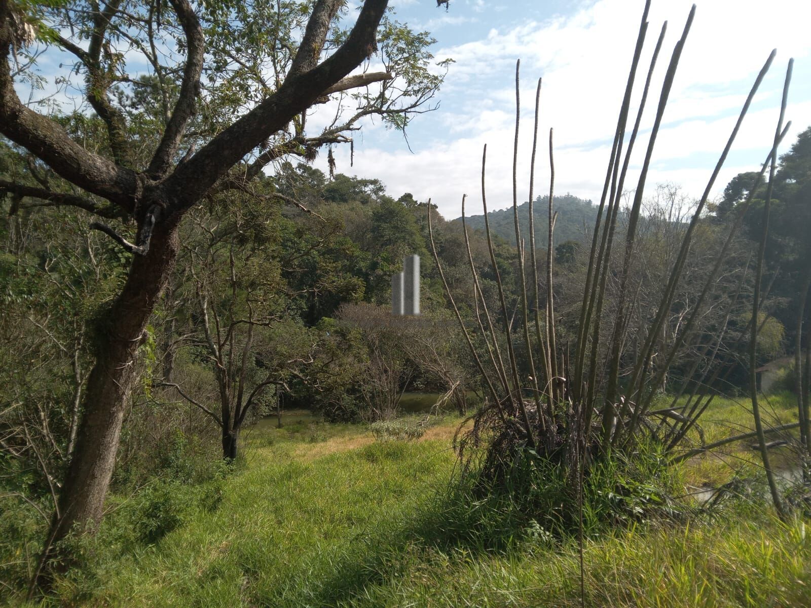 Sítio, 3 quartos, 10 hectares - Foto 35