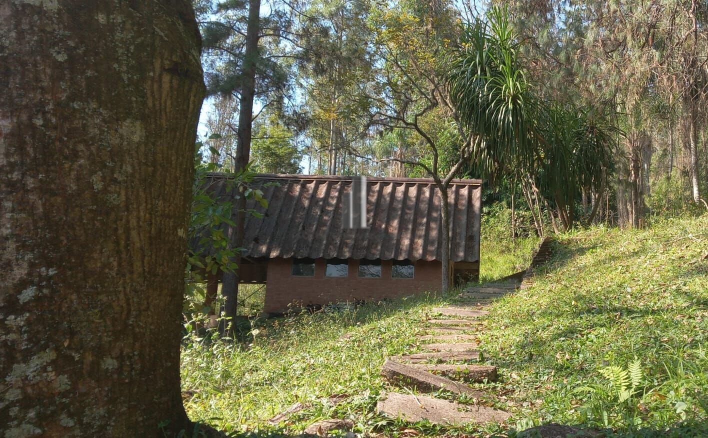 Sítio, 3 quartos, 10 hectares - Foto 15