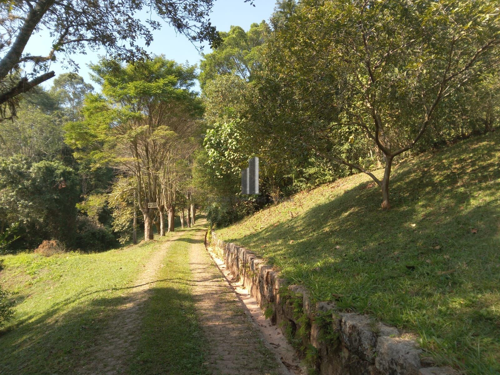 Sítio, 3 quartos, 10 hectares - Foto 5