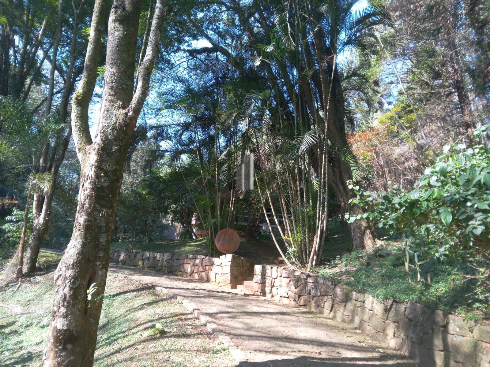 Sítio, 3 quartos, 10 hectares - Foto 18