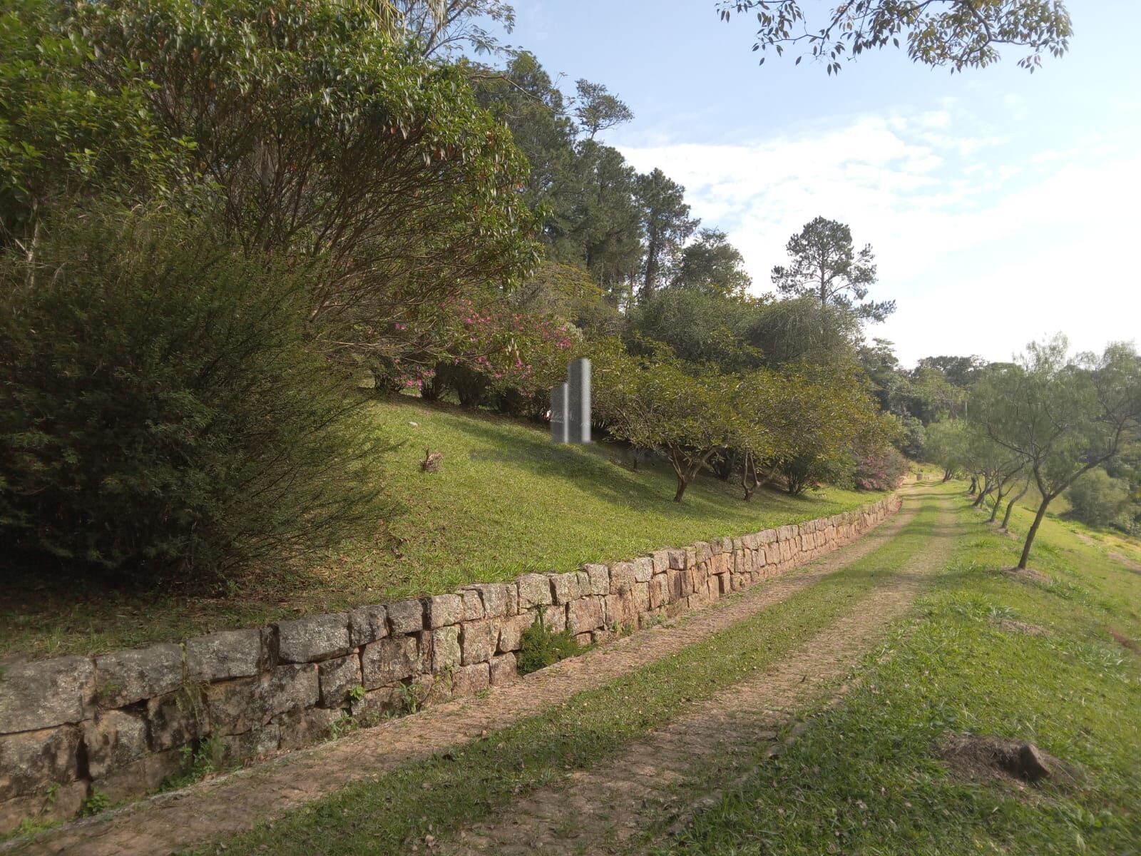 Sítio, 3 quartos, 10 hectares - Foto 39