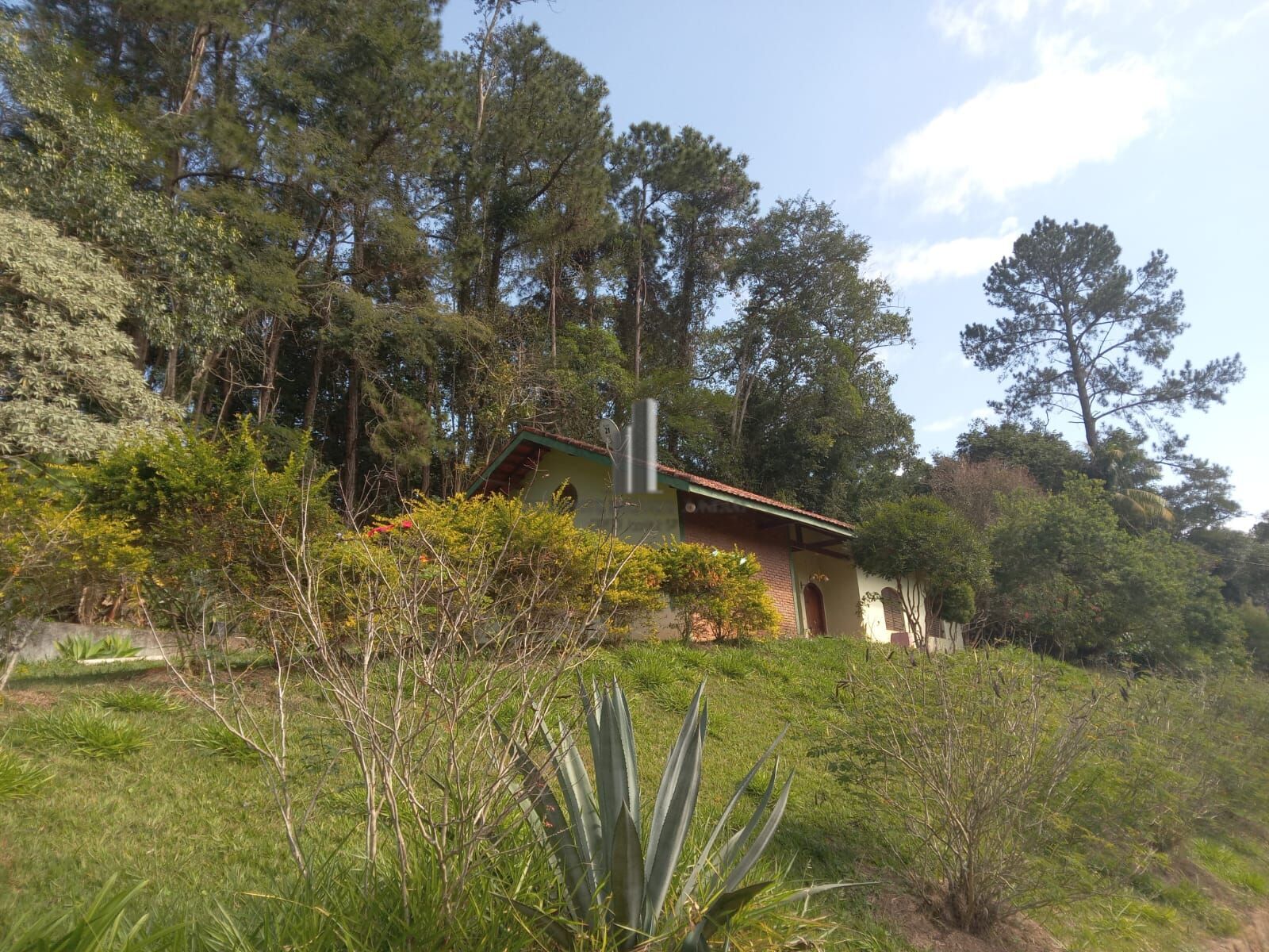 Sítio, 3 quartos, 10 hectares - Foto 28