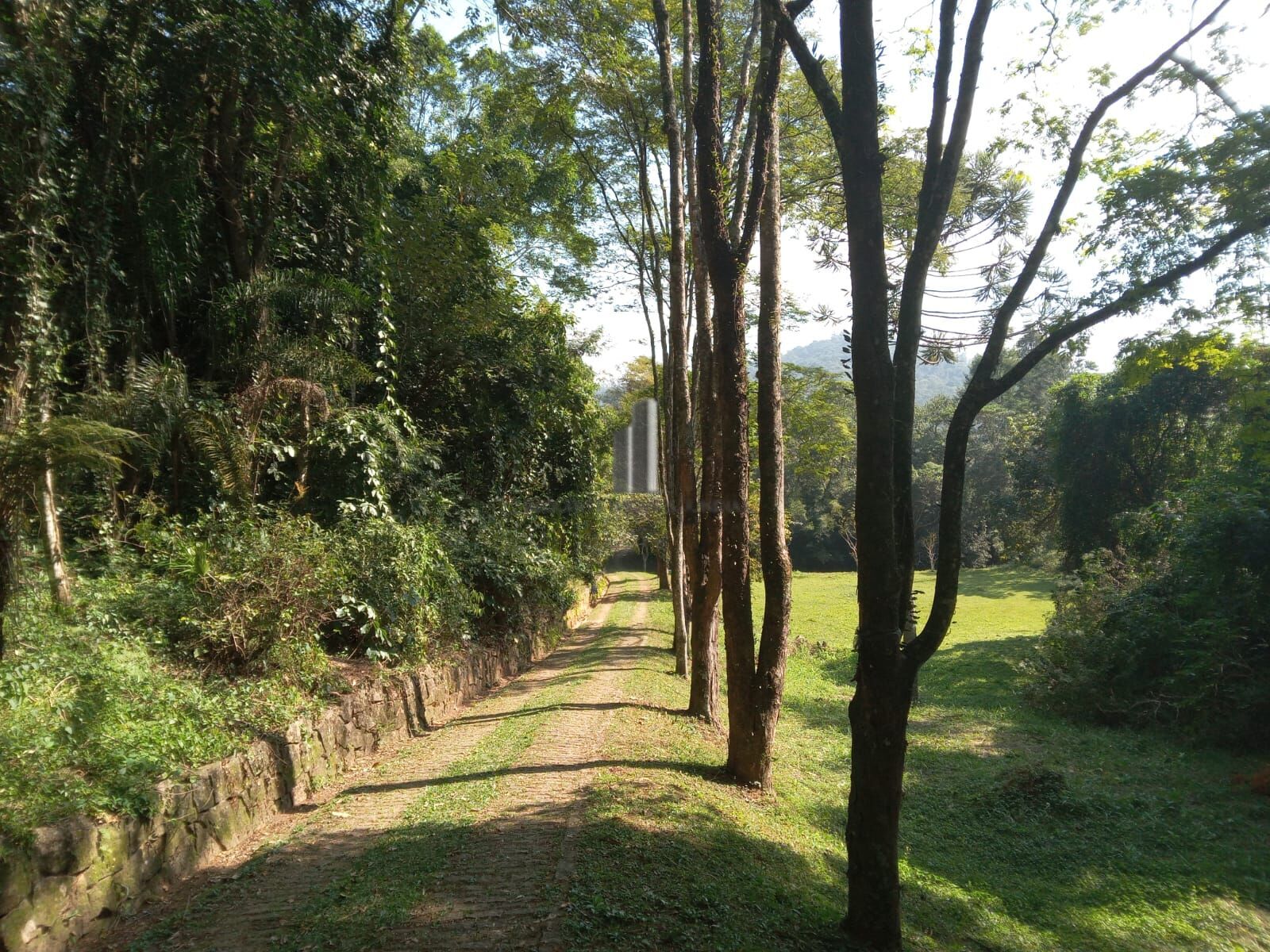 Sítio, 3 quartos, 10 hectares - Foto 4