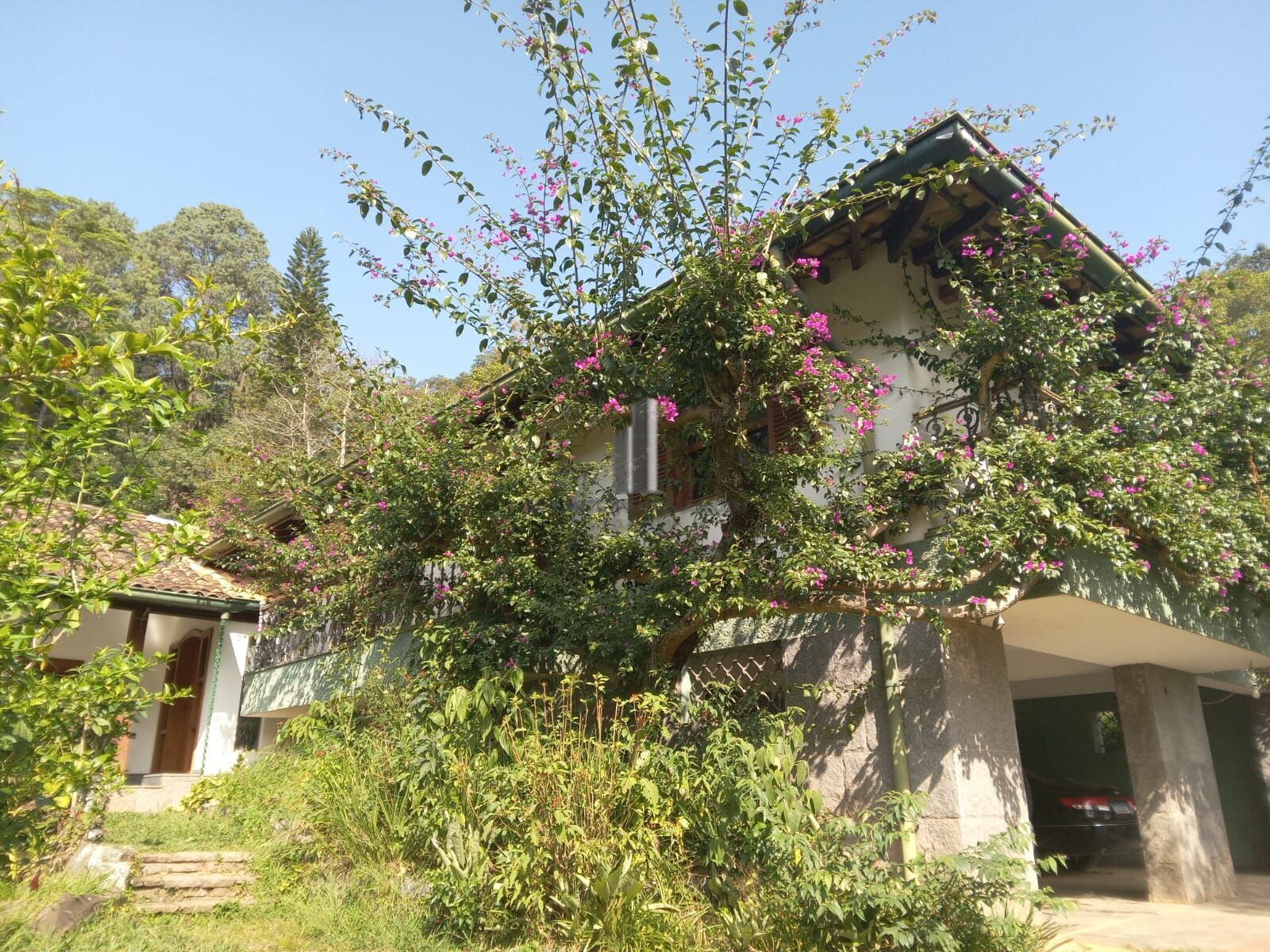 Sítio, 3 quartos, 10 hectares - Foto 21