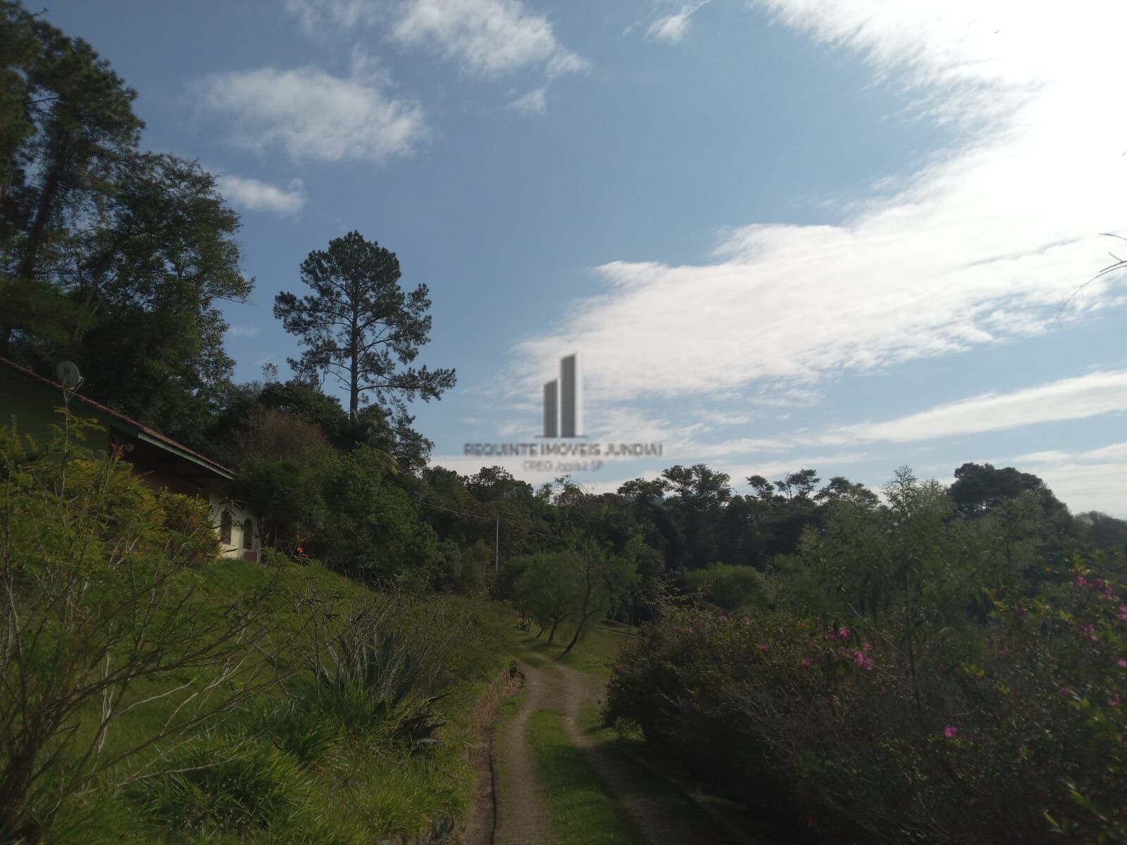 Sítio, 3 quartos, 10 hectares - Foto 24