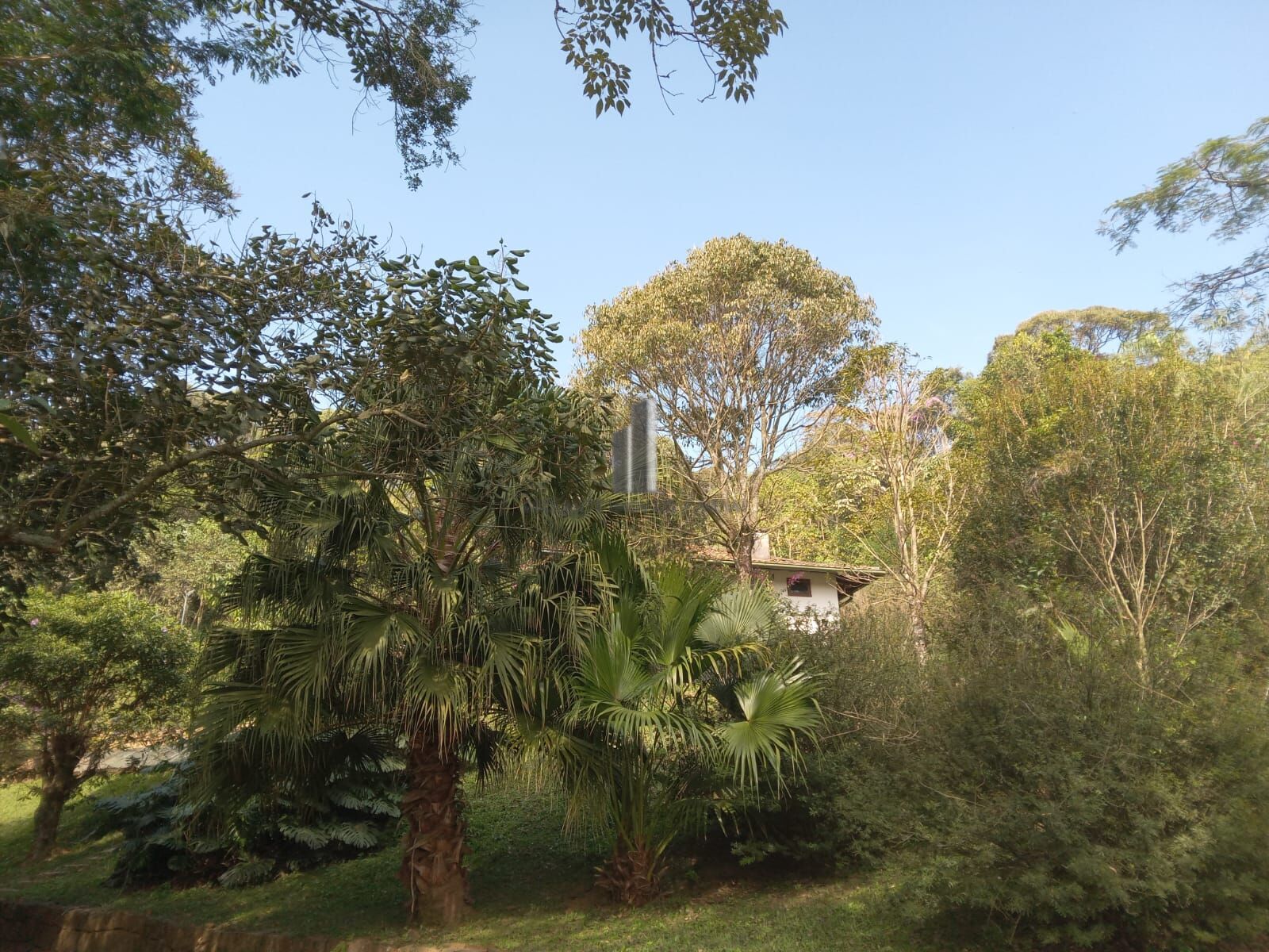 Sítio, 3 quartos, 10 hectares - Foto 32