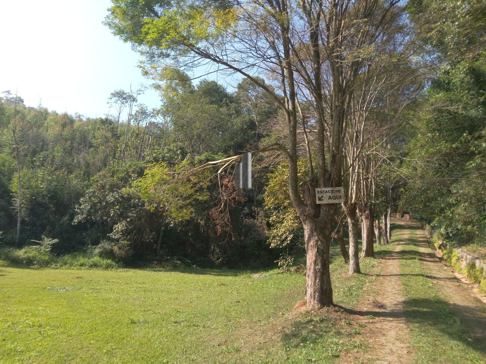 Sítio, 3 quartos, 10 hectares - Foto 6