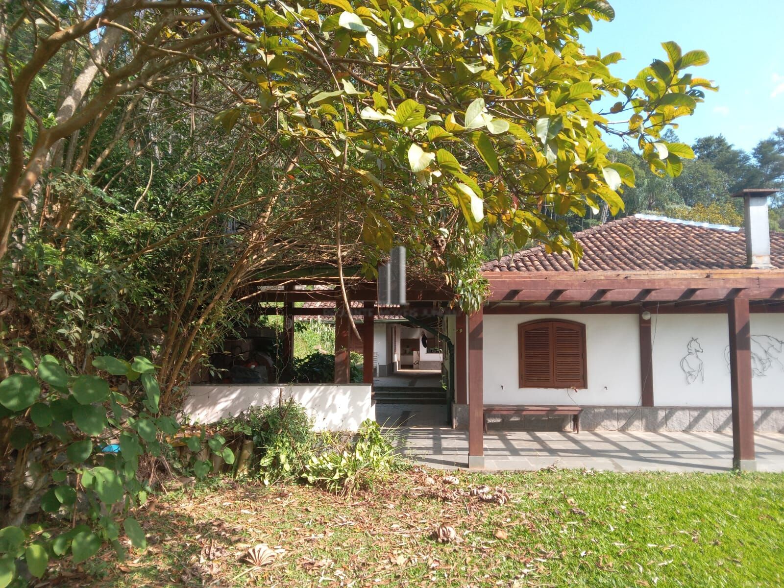 Sítio, 3 quartos, 10 hectares - Foto 7