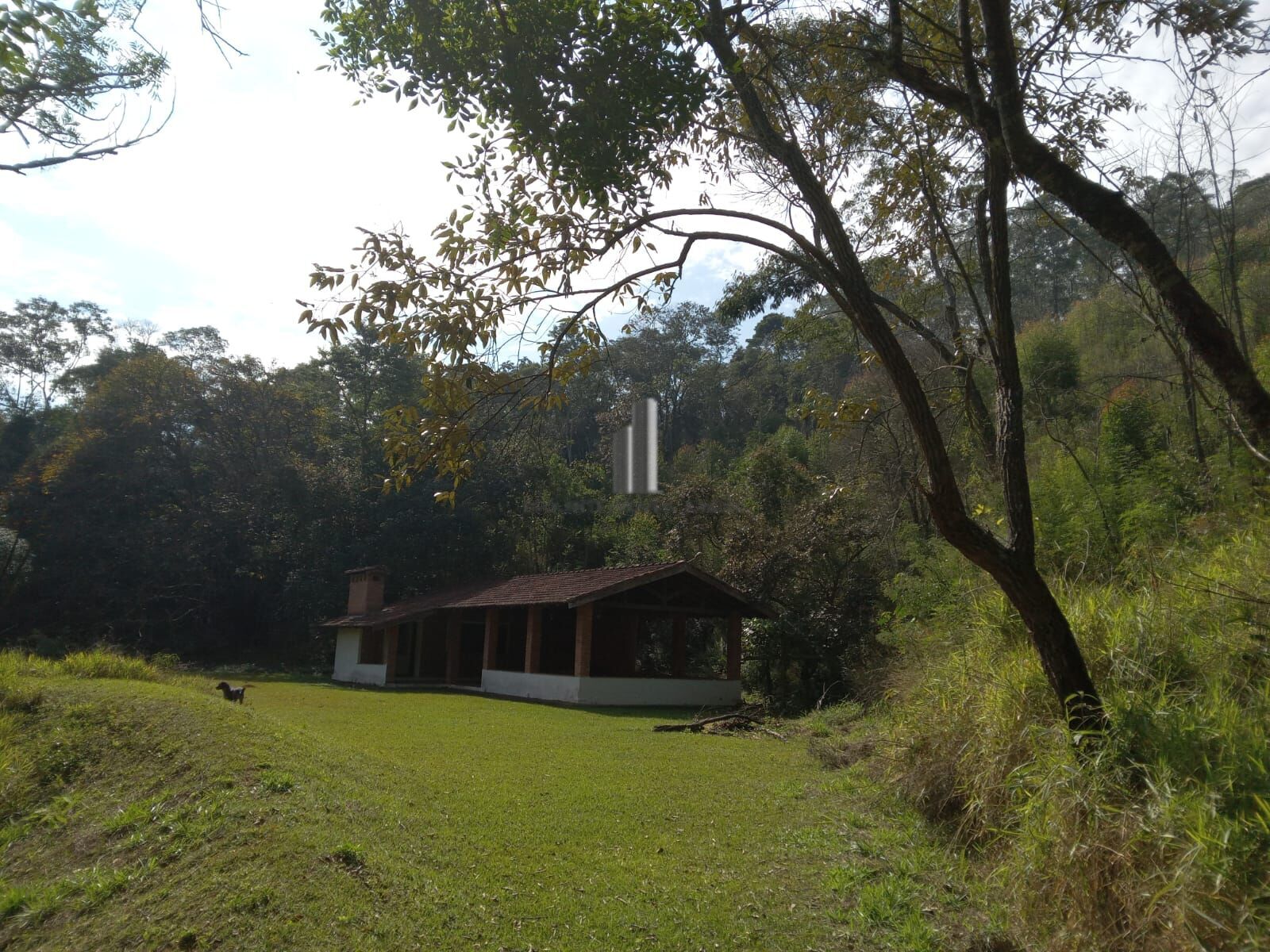 Sítio, 3 quartos, 10 hectares - Foto 34