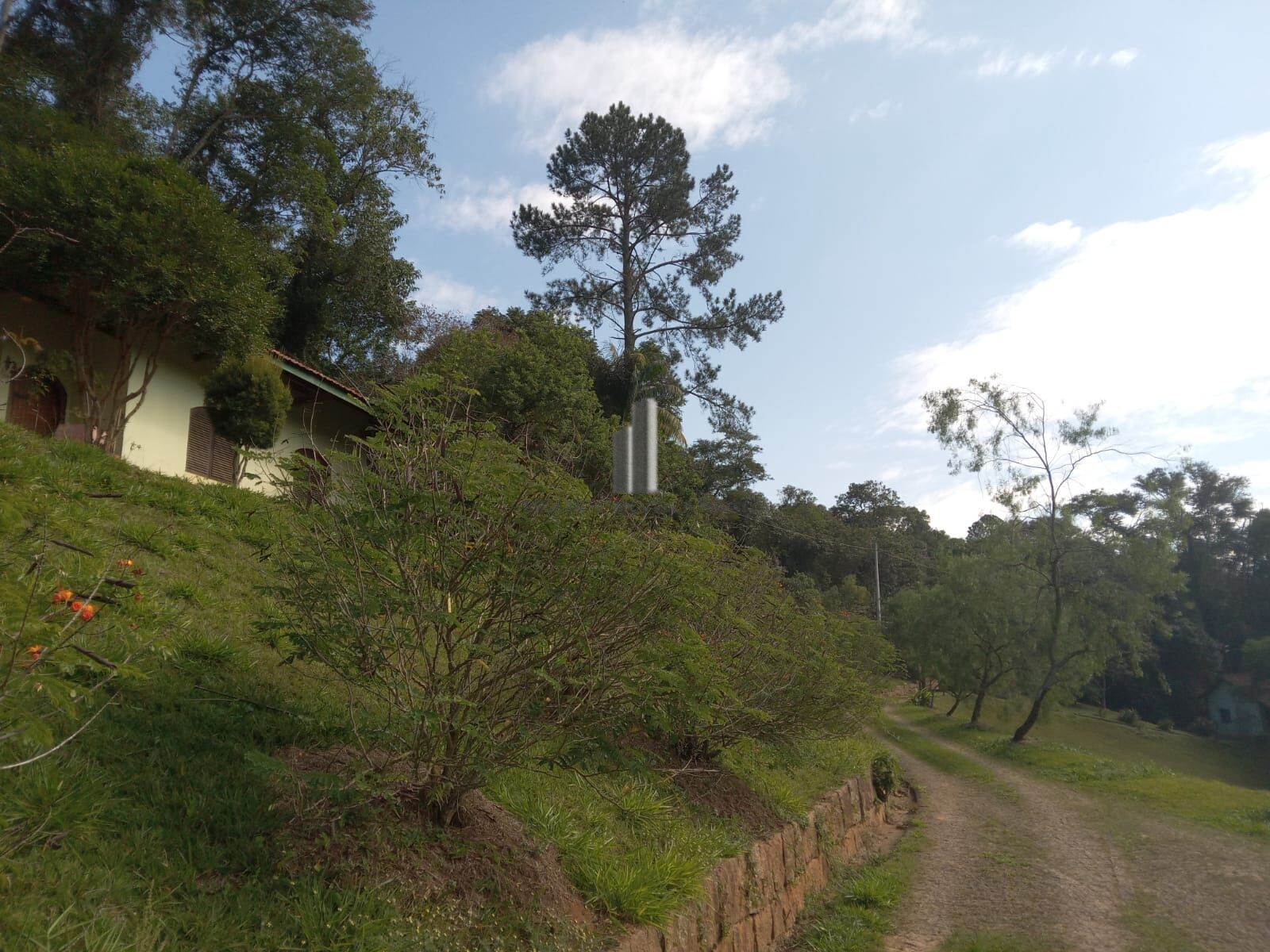 Sítio, 3 quartos, 10 hectares - Foto 26