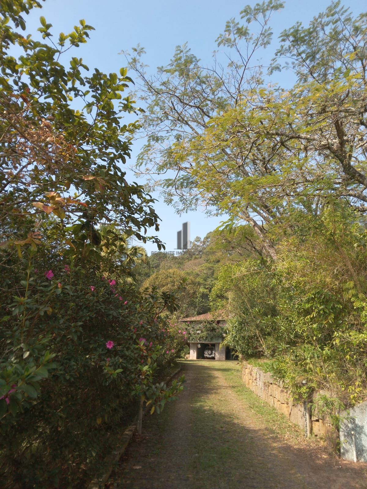 Sítio, 3 quartos, 10 hectares - Foto 25