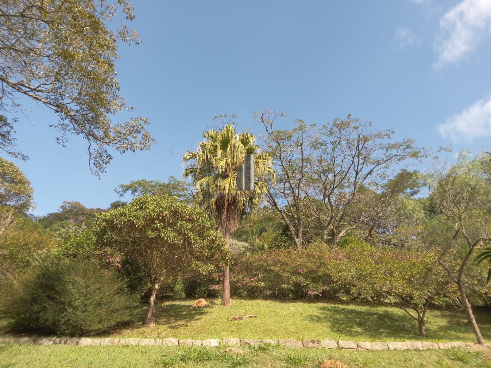 Sítio, 3 quartos, 10 hectares - Foto 31