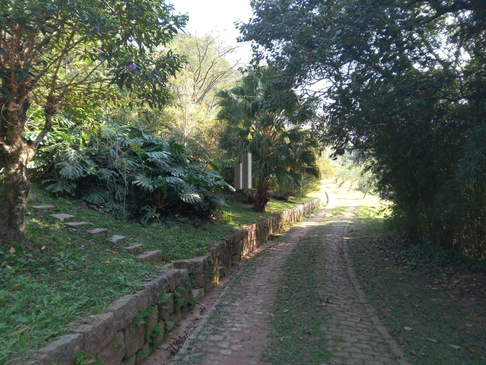 Sítio, 3 quartos, 10 hectares - Foto 19