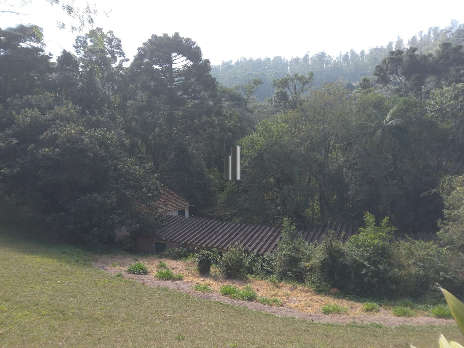 Sítio, 3 quartos, 10 hectares - Foto 33