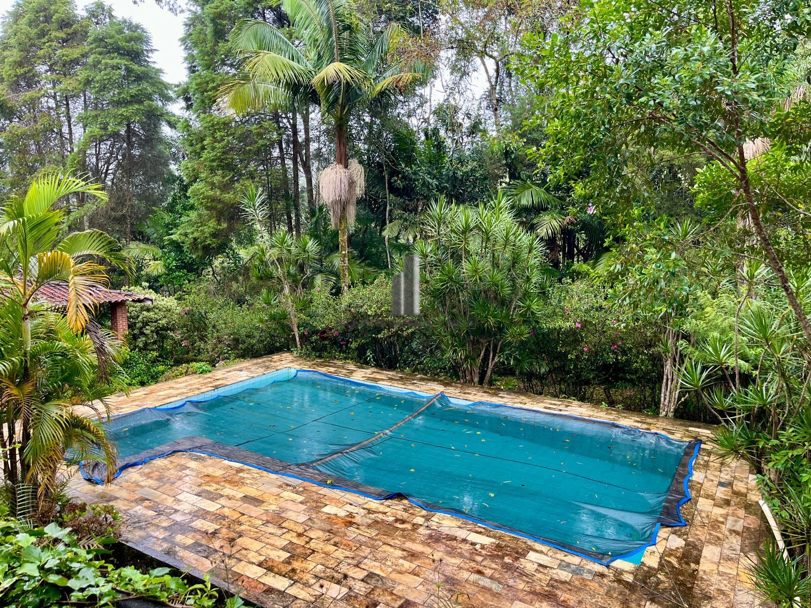 Sítio à venda com 3 quartos, 44000m² - Foto 5