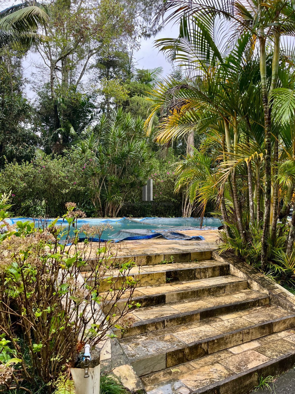 Sítio à venda com 3 quartos, 44000m² - Foto 7