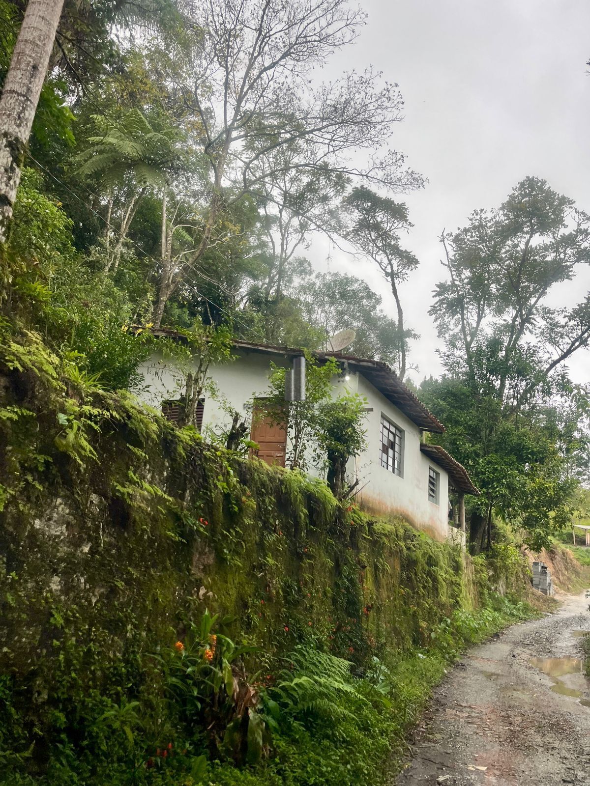 Sítio à venda com 3 quartos, 44000m² - Foto 13