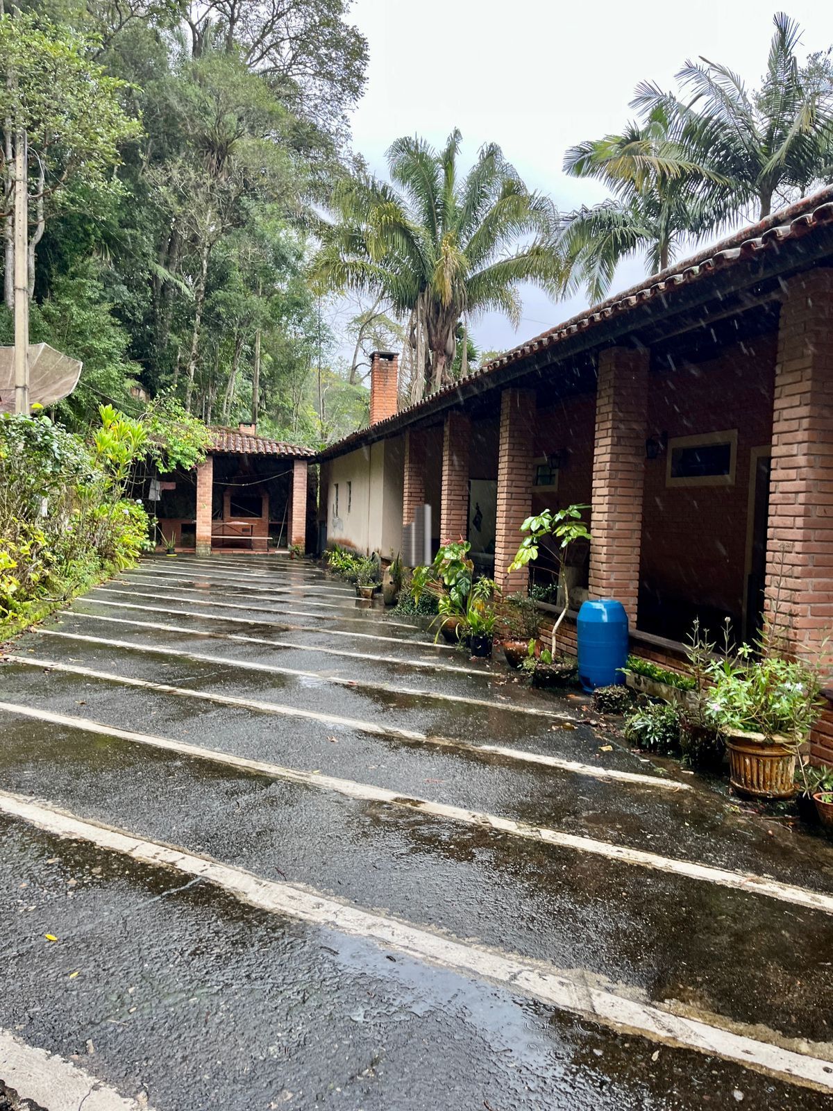 Sítio à venda com 3 quartos, 44000m² - Foto 4