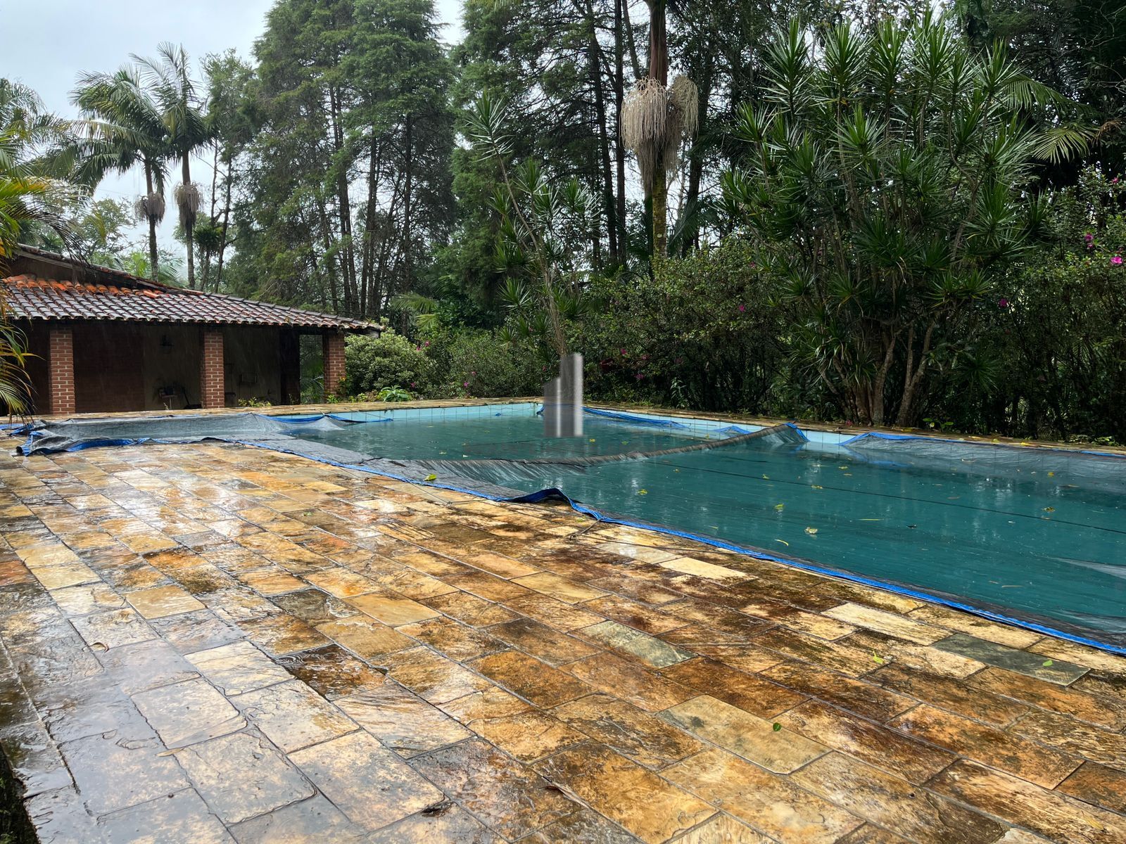 Sítio à venda com 3 quartos, 44000m² - Foto 9