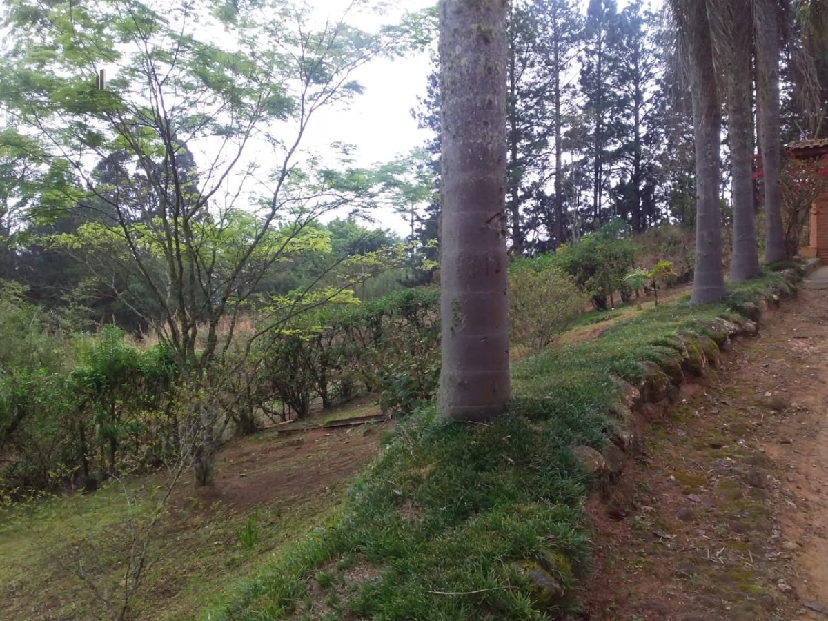 Fazenda à venda com 2 quartos, 5000m² - Foto 13