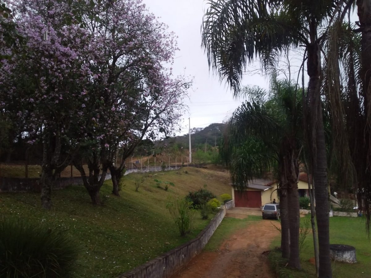 Fazenda à venda com 2 quartos, 5000m² - Foto 12