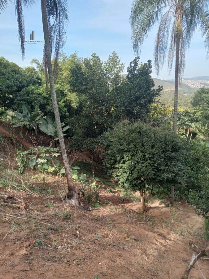 Terreno à venda - Foto 4