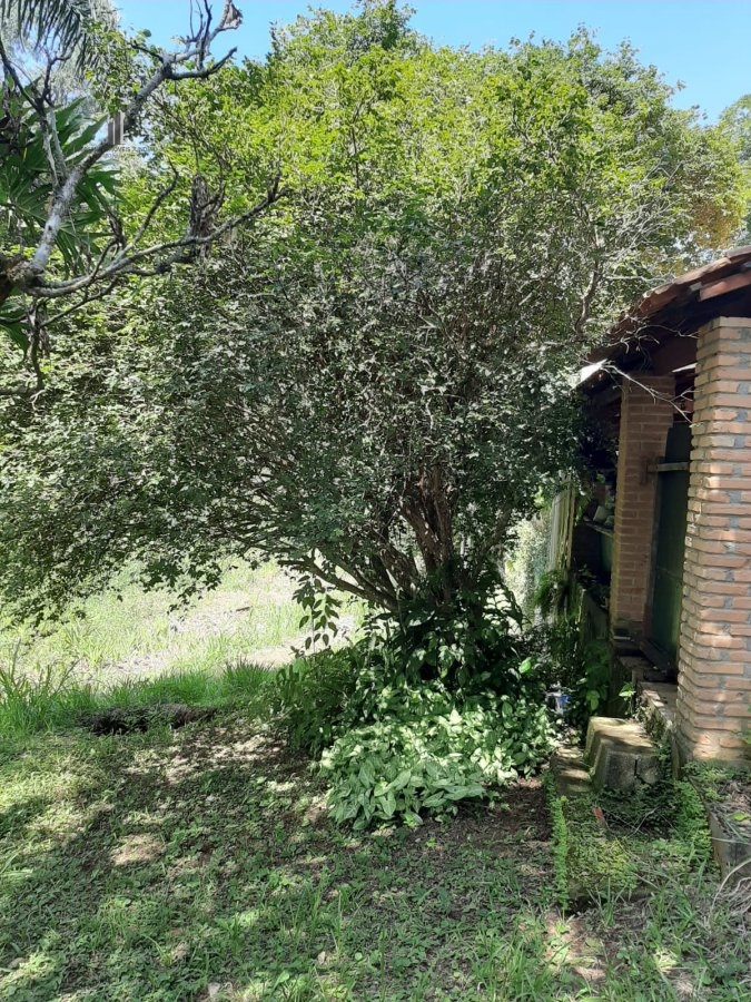 Fazenda à venda com 3 quartos, 250m² - Foto 18