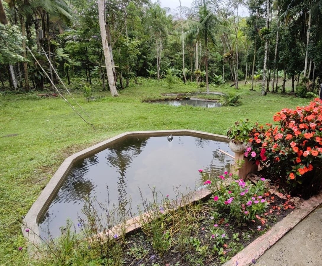 Fazenda à venda com 1 quarto, 40000m² - Foto 17