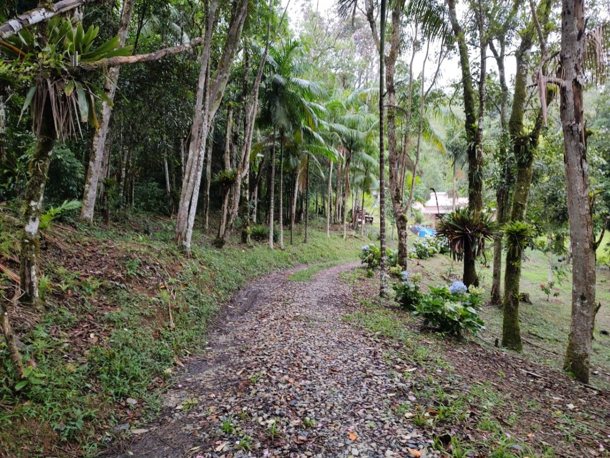 Fazenda à venda com 1 quarto, 40000m² - Foto 4