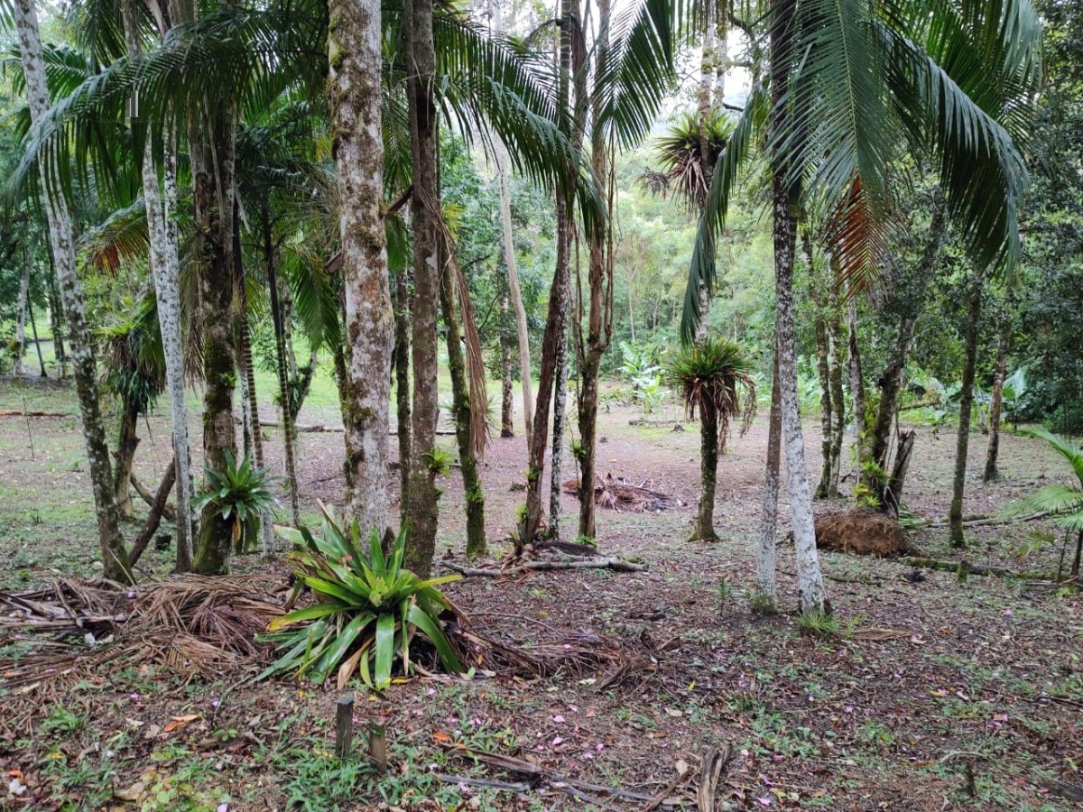 Fazenda à venda com 1 quarto, 40000m² - Foto 3