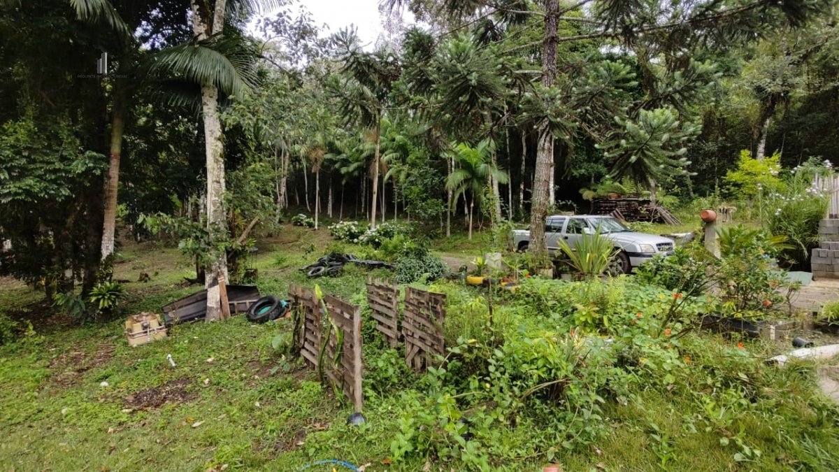 Fazenda à venda com 1 quarto, 40000m² - Foto 5