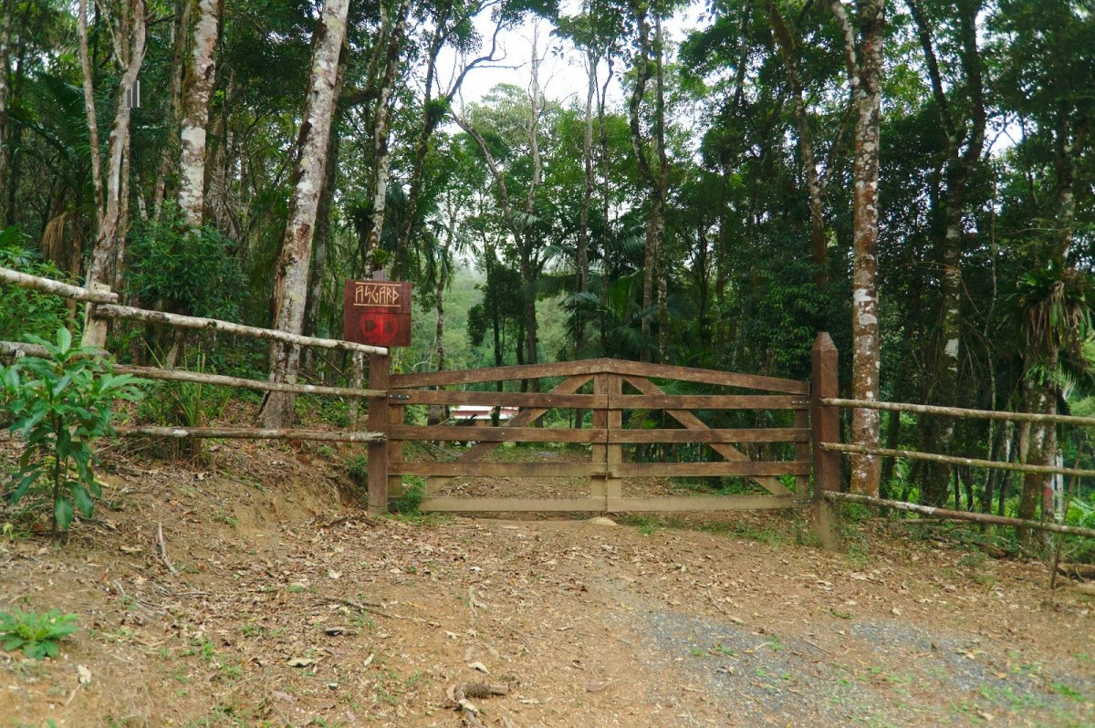 Fazenda à venda com 1 quarto, 40000m² - Foto 12