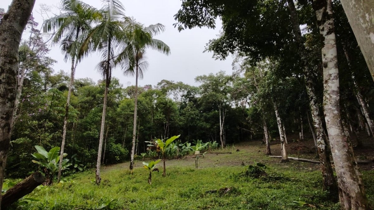 Fazenda à venda com 1 quarto, 40000m² - Foto 6