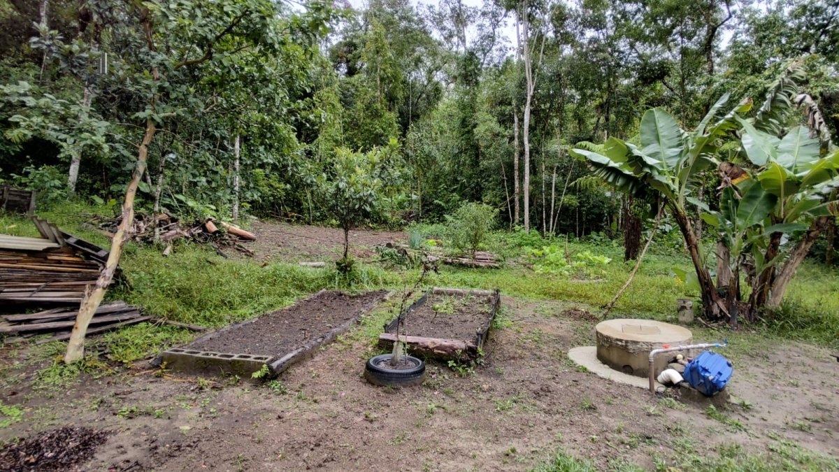 Fazenda à venda com 1 quarto, 40000m² - Foto 9