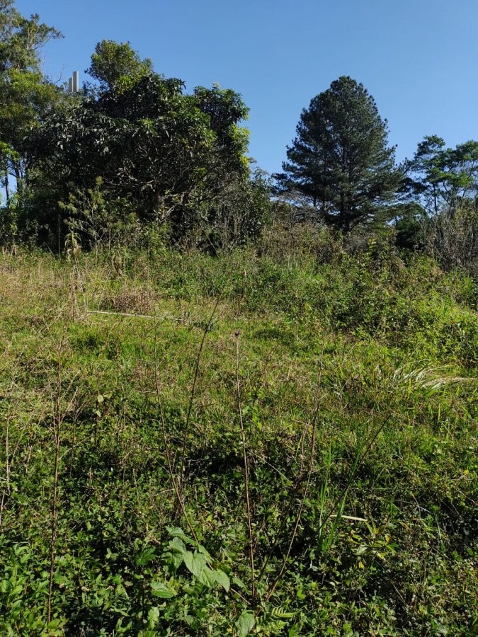 Fazenda à venda com 2 quartos, 15000m² - Foto 13