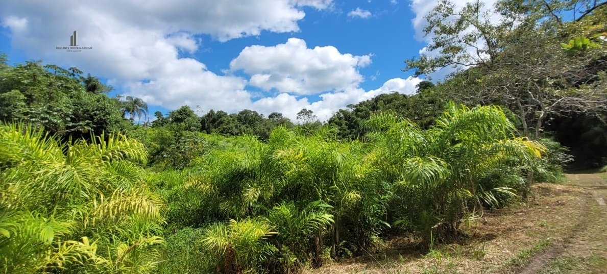 Fazenda à venda, 120000m² - Foto 5