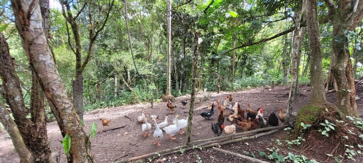 Fazenda à venda, 120000m² - Foto 16