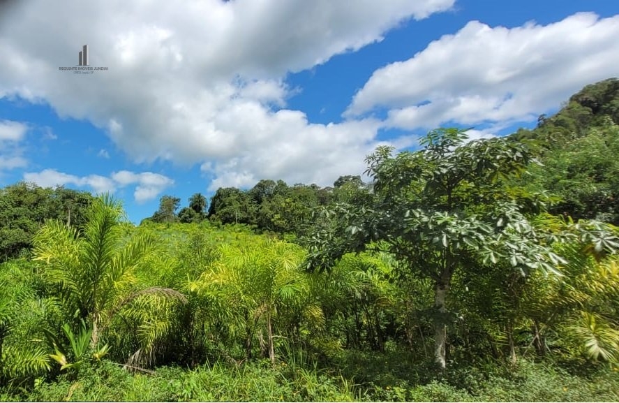 Fazenda à venda, 120000m² - Foto 6