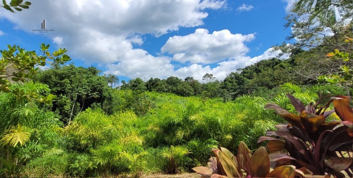 Fazenda à venda, 120000m² - Foto 4