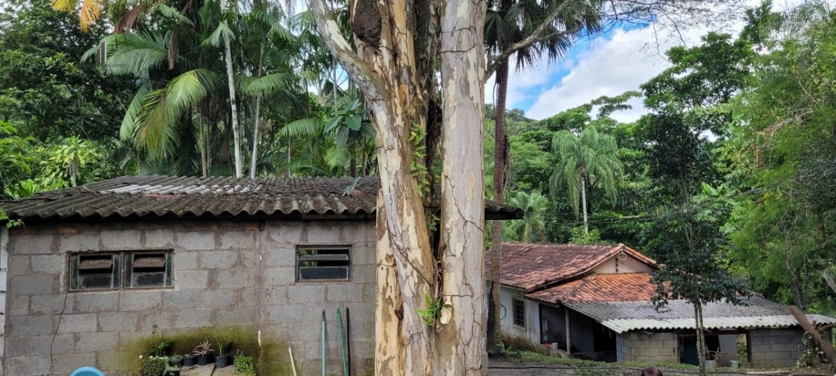 Fazenda à venda, 120000m² - Foto 13