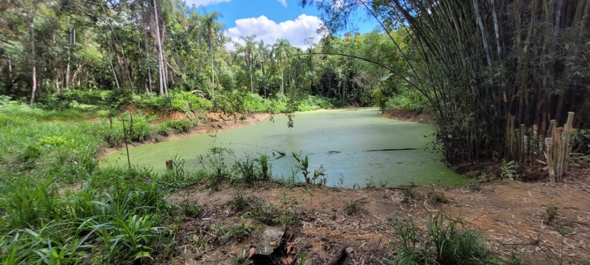 Fazenda à venda, 120000m² - Foto 2