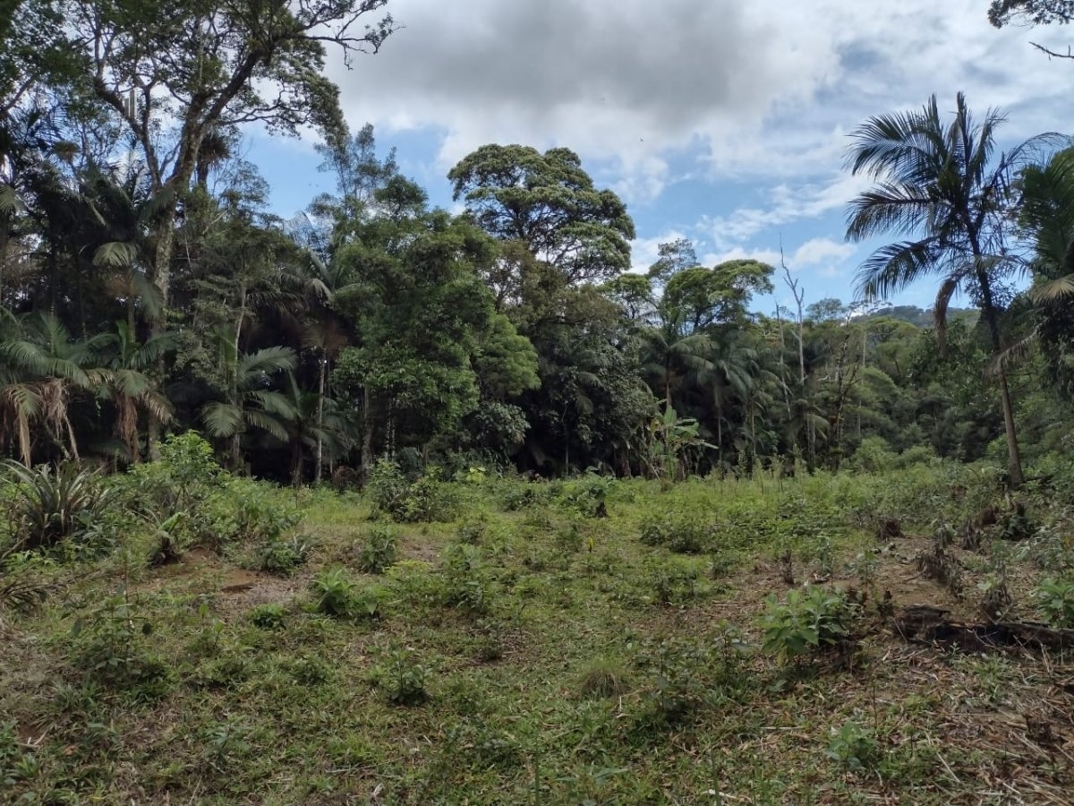 Fazenda à venda com 3 quartos, 14000m² - Foto 16