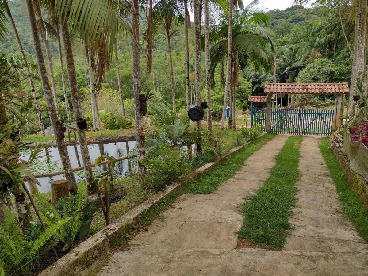 Fazenda à venda com 3 quartos, 14000m² - Foto 9