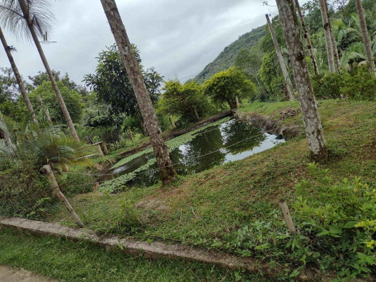 Fazenda à venda com 3 quartos, 14000m² - Foto 7