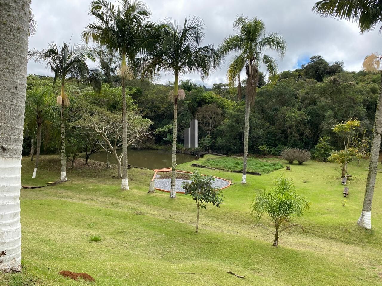 Sítio à venda com 4 quartos, 30000m² - Foto 13