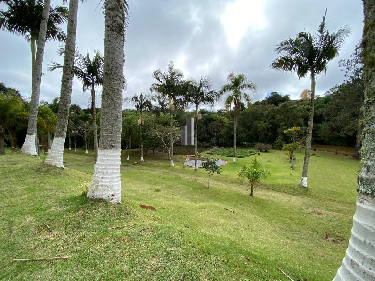 Sítio à venda com 4 quartos, 30000m² - Foto 14