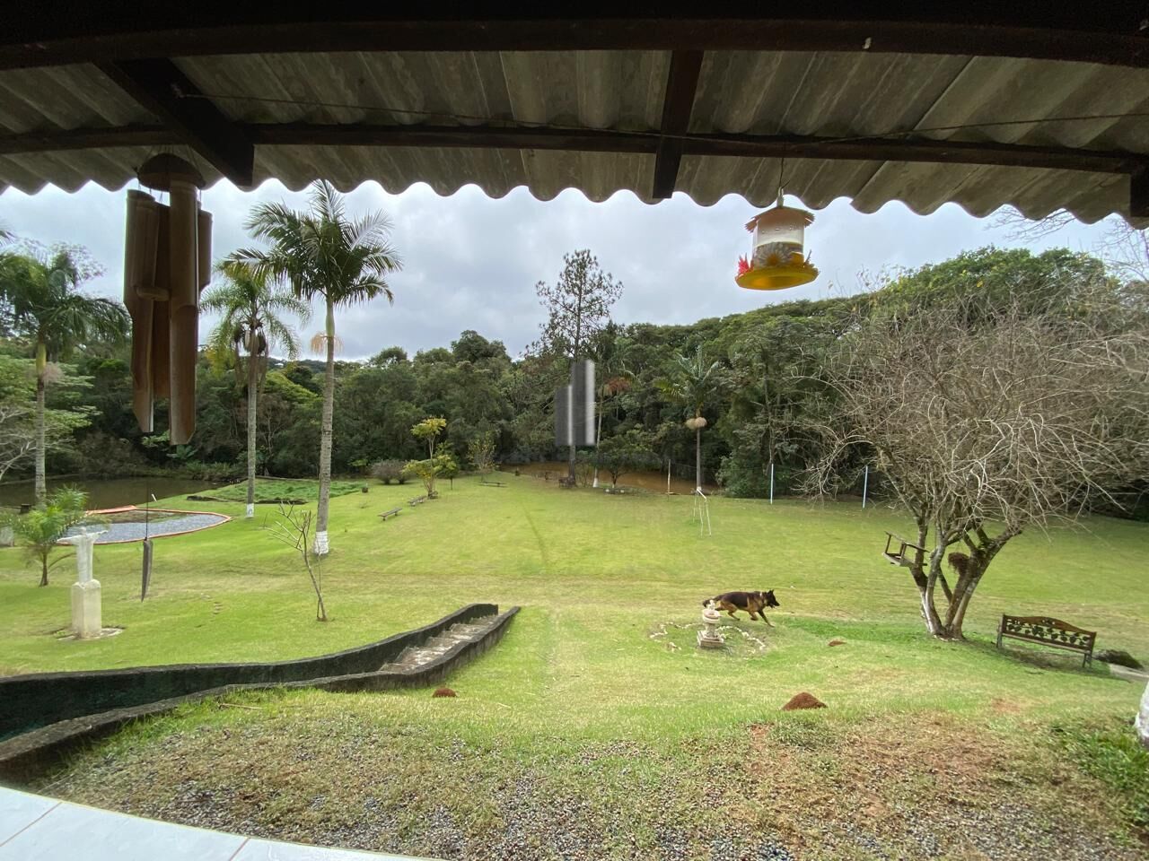 Sítio à venda com 4 quartos, 30000m² - Foto 3